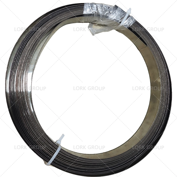 Hastelloy G-30 Strip